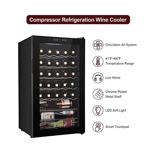 ROVSUN 34 Bottle Wine Cooler Refrigerator, Compressor Wine Fridge
