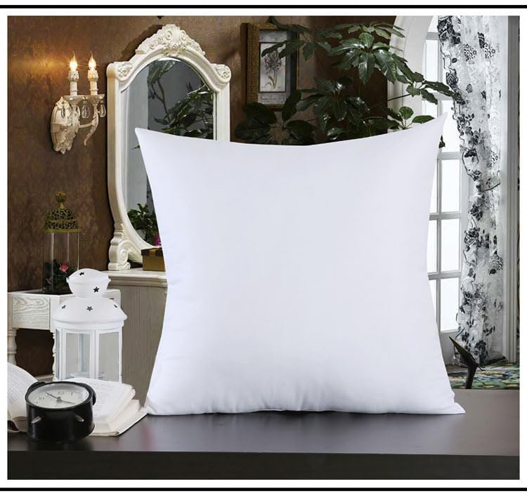 1919 Throw Pillow Inserts Cushion Sham Stuffer Decorative Home Indoor Couch Sofa Bed Square Pillow Filler (Non Woven) (E)