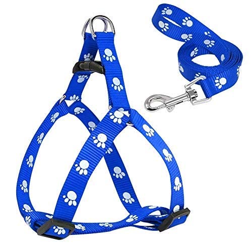 Pups&Pets Paw Print Leash and Harness | Set for Small & Medium Puppy | (Color Blue) (B09TFRLW8T) Amazon Price History, Amazon Price Tracker