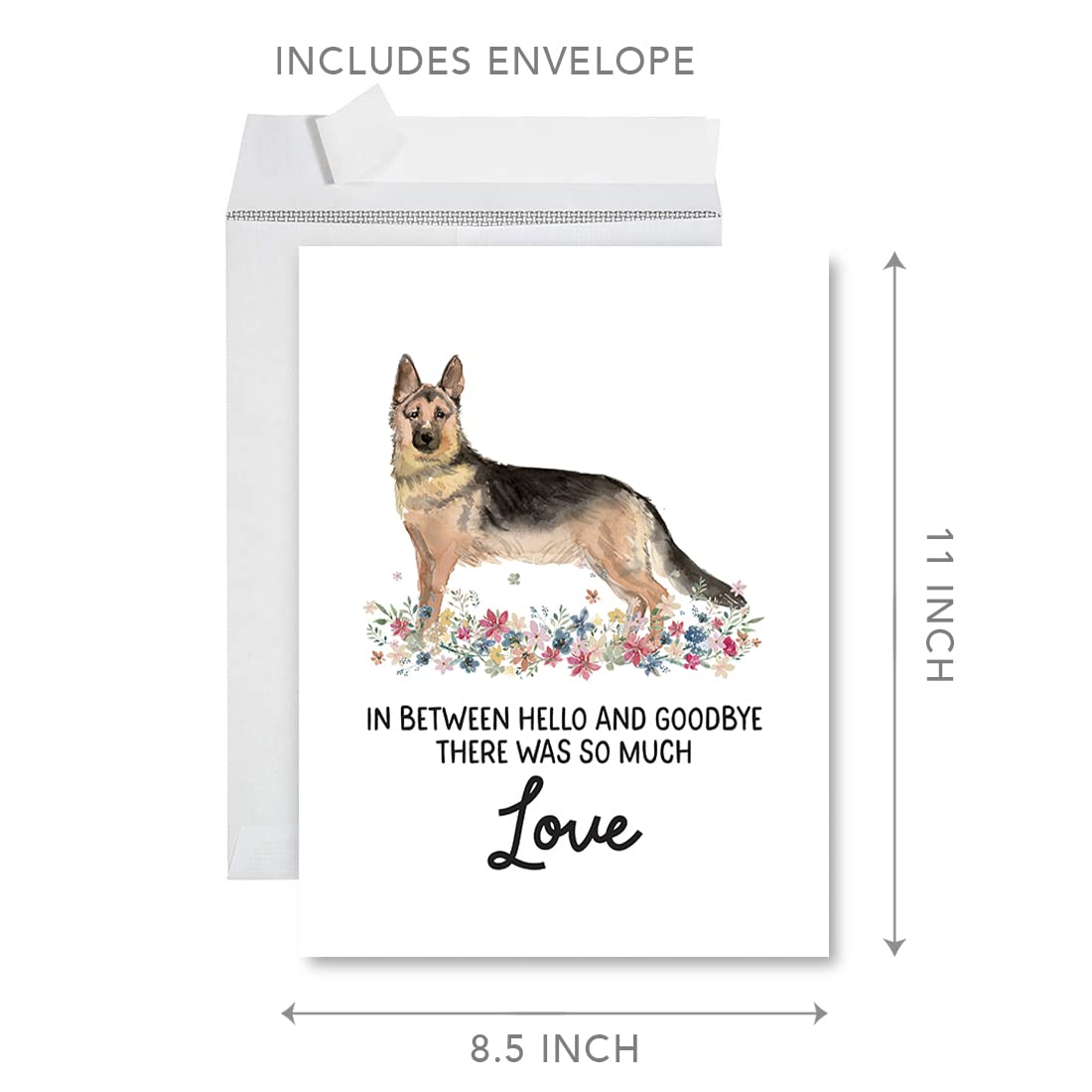 Amazon.com : Andaz Press Jumbo Pet Sympathy Card with Envelope