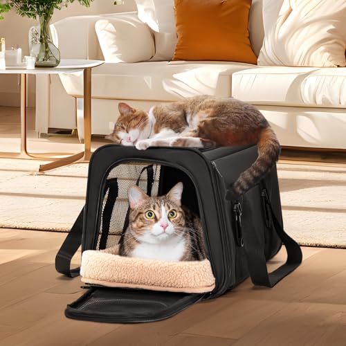 Petsfit Transportbox für Katzen – Faltbare Transporttasche für Haustiere bis 5 kg mit Netzfenstern & Innenkissen – ideal fürs Auto, Reisen & Tierarztbesuche – auch für kleine Hunde geeignet