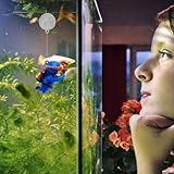 Zoom IMG-2 fat diver viewing floating pendant Zoom IMG-2 fat diver viewing floating pendant