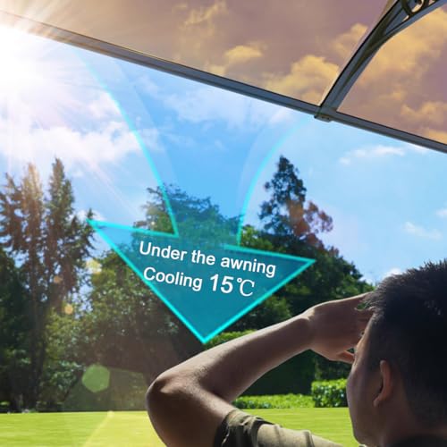 Auvent de porte durable en polycarbonate avec structure aluminium - 4
