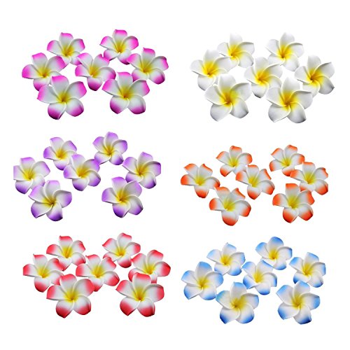 Ewanda Store 100 Pcs Diameter 1.6 Inch Artificial Plumeria Rubra Hawaiian Foam Frangipani Flower Petals For Weddings Party Decoration(Red) #TOP1