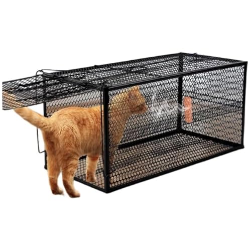 zjdgweh �L �ߊl�� �����ߊl�� �L �ߊl�@ �ی�� �A�j�}���g���b�v ���S ��ǔL ���q�L �A���C�O�} �n�N�r�V�� �C�^�` � �Q�b�쏜 �ی삩�� �܂��� �ȒP�g�� �ݒu �� �� �ƒ�؉� �_�ƍ앨�ی� ��ǔL �˂� �ی삩�� �L ���S (50X