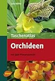 Orchideen: Mit 340 Pflanzenporträts (Taschenatlanten) - Lutz Röllke 