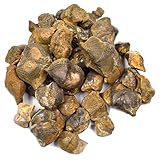 Décoration de bureau : fabriquée à des fins et à utiliser, ces brachiopodes peuvent vous offrir un service plus long.