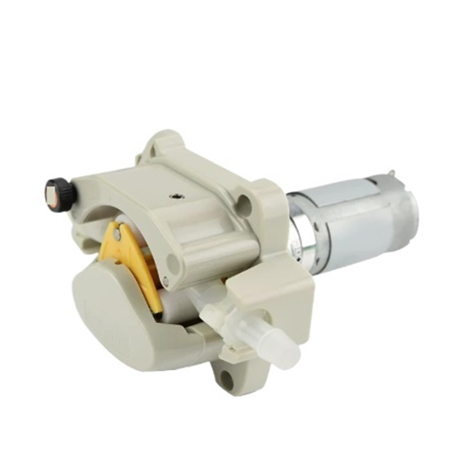 Peristaltic Metering Pump 603Z/ZLX-24V-300R-36