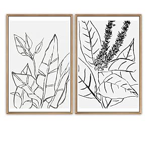 SIGNWIN Framed Wall Art Print Set Drawing of...