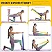 HPYGN Resistance Bands, Exercise Bands, Physical Therapy Bands for Strength Training, Yoga, Pilates, Stretch Elastic Band with Different Strengths, Workout Bands for Home Gym