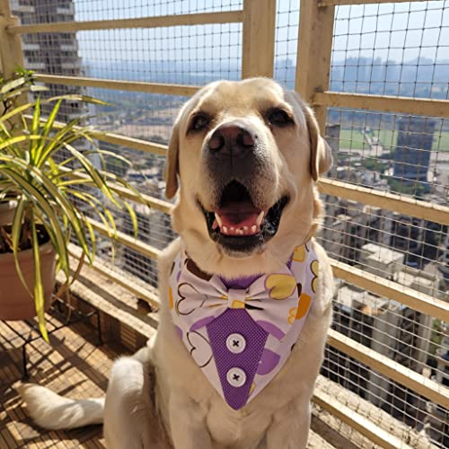 Image of Valentine's Day Purple and White Printed Hearts Tuxedo Bandana for Dogs (S)