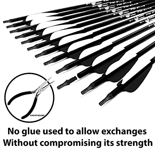 Keshes Archery Carbon Arrows For Compound & Recurve Bows - 30 Inch Youth Kids And Adult Target Practice Bow Arrow - Removable Nock & Tips Points (12 Pack) (Black) #TOP3