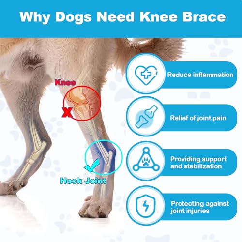 Image of IEhotti Dog Knee Brace for Torn Acl Hind Leg, Dog Leg Braces for Back Leg with Extra Dog Harness, Dog Hip Brace for Cruciate Ligament Injury, Relieves Pain and Better Recovery, Small