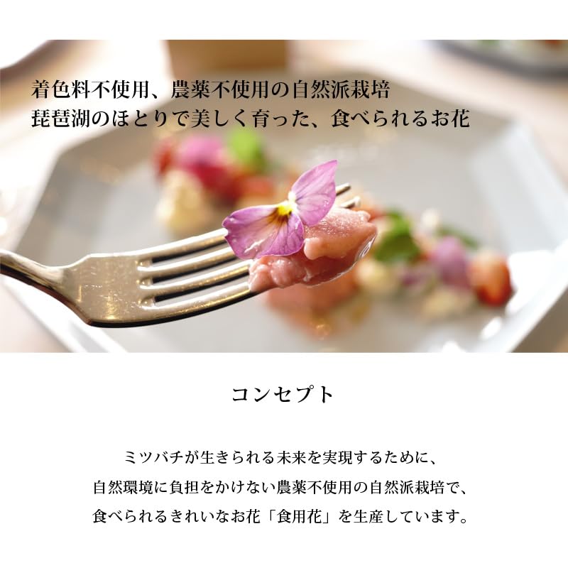 Amazon.co.jp: 【ビタミンカラー】明るいビタミンカラーミックス 40輪 