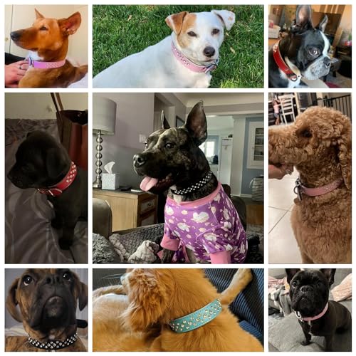 Rhinestone Dog Collar Adjustable Cute Dazzling Sparkling Soft Leather Dog Collar Crystal Diamond Pet Dog Puppy Collar l Hot Pink  Cucciolini Doodles Rhinestone dog collar adjustable cute dazzling sparkling soft leather dog collar crystal diamond pet dog puppy collar l hot pink   cucciolini doodles