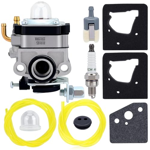 Honda Carburetor and Tune-Up Kit