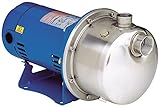 Goulds LB1035 Centrifugal Pump
