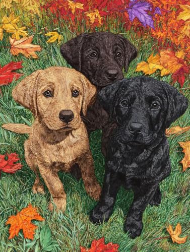 Lienzos para pintar perro pintura por numeros adultos cuadros decoracion 70x90