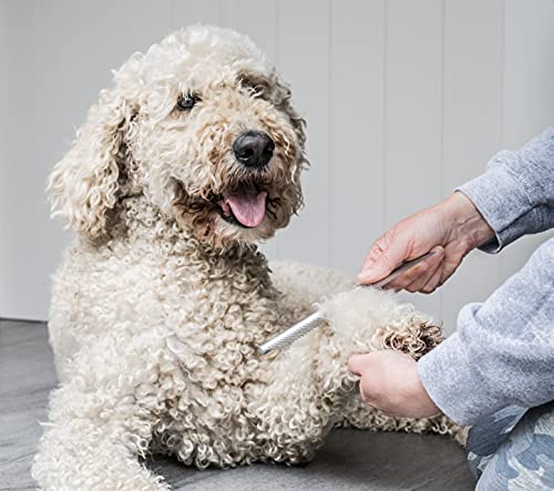 Mikki Hunde- und Welpen-Fellpflege-Starterset aus Edelstahlkamm und Slicker-Bürste mit harten Borsten, für Pudel-Kreuzungen wie Cockapoos, Labradoodles, Cavapoos, Maltipoos und Golden Doodles, Blau