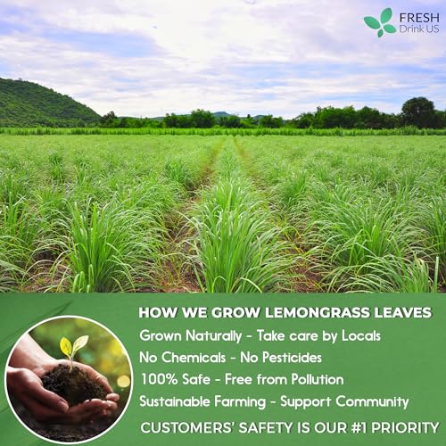 Image of FRESHDRINKUS Lemongrass Leaf Tea Bags, 30 Count, 100% Natural & Pure, No Sugar, No Caffeine, No Gluten, Vegan, Herbal Tea