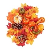 decoracion otoño para aula infantil Excelente servicio: si está satisfecho con el calabazas decoracion, ¡agréguelo a su carrito ahora! También nos tomamos muy en serio la experiencia del cliente. Si tiene alguna pregunta sobre nuestros productos, contáctenos de inmediato. Le proporcionaremos una solución satisfactoria dentro de las 24 horas.