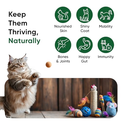 Hemp Oil for Cats 60ml - Pure, Natural & Cold-Pressed - Cat Calming Products for Loud Noises, Car Rides & Home Alone - Rich in Omega 3, 6 & 9 - Cat Calmer for Skin, Coat, Bones & Joints - Image 5