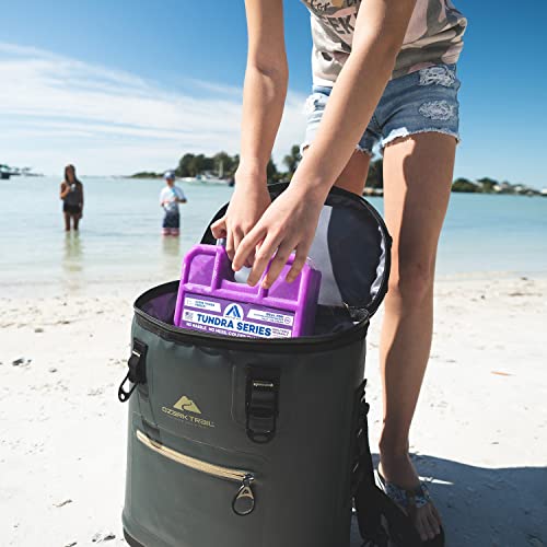 Arctic-ICE-Tundra-Series-Long-Lasting-Reusable-Ice-Pack