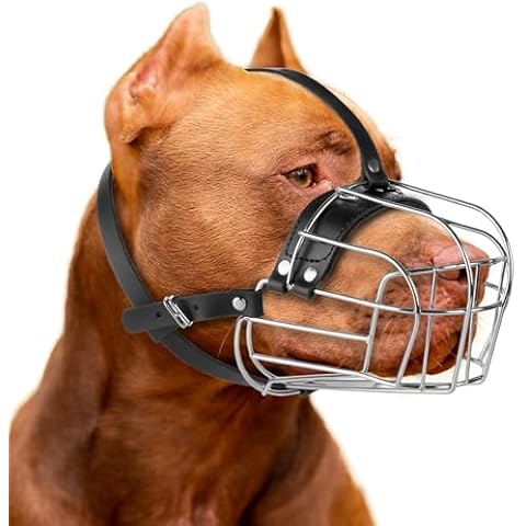 CleverTail Large Pitbull Muzzle to Prevent Biting - Metal Basket Muzzle for Pitbull with Adjustable Leather Straps - Cage Dog Muzzle for Large Sized Dogs Pitt Bull, Cane Corso, American Bully Cover