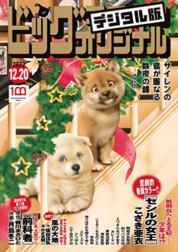 ビッグコミックオリジナル 2022年24号（2022年12月5日発売) [雑誌]