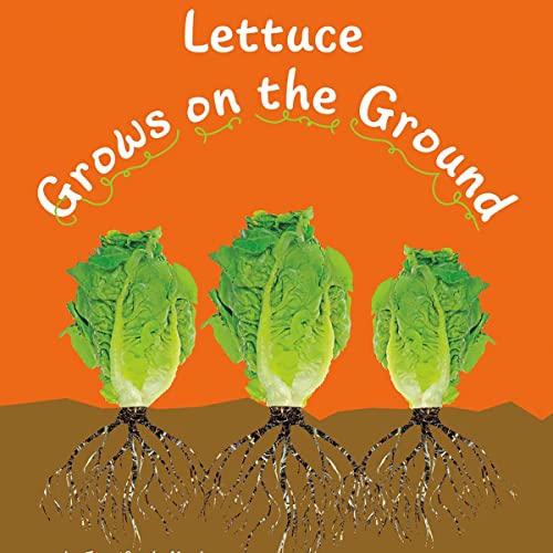Lettuce Grows on the Ground by Mari Schuh, Gail Saunders-Smith episode artwork