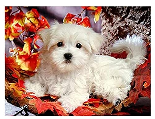 JYSHC Puzzles 1000 Teile Holz Zusammenbau Bild Malteser Hunde Poster Erwachsene Spiele Lernspielzeug Cz031Vy Cover