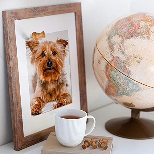 image for UpdateClassic Wooden Push Pins, Walnut, Wood Thumb Tacks Decorative fo