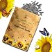 Sunflower Seeds for Planting - to Plant Mammoth Sunflower Seeds - Packet of About 100 Flower Seeds!