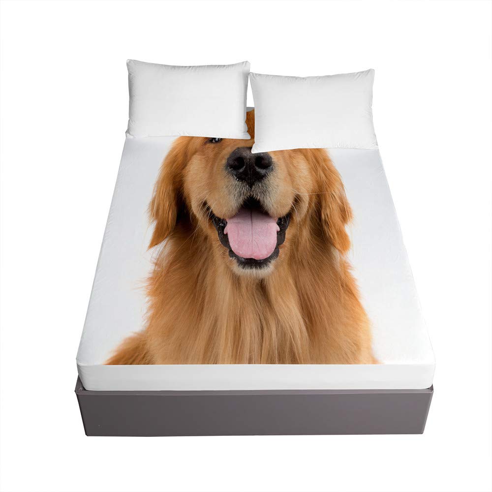 Sábana Bajera Ajustable Colchones Decorativa, Microfibra 3D Cachorro Impresión Suave Cómoda Transpirable Tela- Elástico en el Borde Bolsillo Profundo 30cm (120x200x30cm,Perro Perdiguero de Oro)