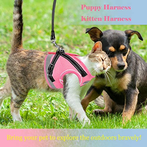 Cat Harness And Leash For Walking, Kitten Escape Proof Harnesses, Adjustable Reflective Puppy Vest Harness With Leashes Set, Easy Adjustable Soft Net Breathable Pet Safety Jacket #TOP5