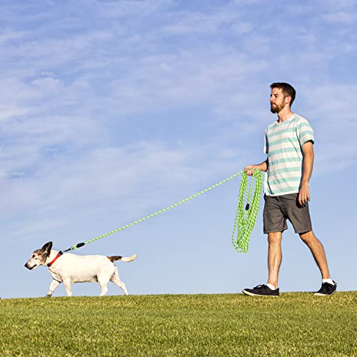Image of Long Dog Leash for Training 15Ft-Reflective Nylon Rope with Swivel Hook-Recall Agility Lead for Large Small Medium Dogs Outside Walking Hiking-Green