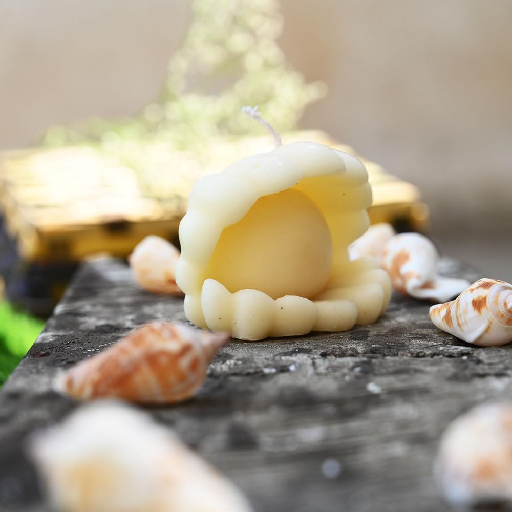Shell Candles | Handmade Soy Candles | Soy Wax Wonders