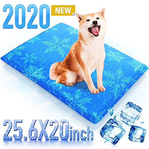 RioRand Haustier Kühlmatte für Hunde 65x50CM, Kühldecke Ungiftig Gel Matt Katzenschlafsofa Selbstkühlende Kissen Bettsofa im Sommer Halten Sie Haustiere kühl - Perfekt für Zuhause und unterwegs