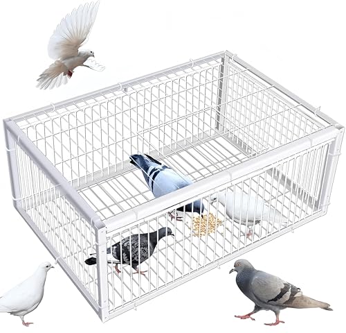 ハト かご ハト捕獲トラップ 自動ハト捕獲器 防逃げ設計 2cm間隔天窓 二・四入口選択可 組立簡単 構造堅牢 鳥無害 庭 果樹園 屋外 (B)