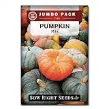 Sow Right Seeds - Bulk Mixed Pumpkin Seeds for Planting - 1 Ounce, 140 Seeds - Non-GMO Heirloom Jumbo Pack - Includes Small Sugar, Big Max, Casper, and More - Grow Loads of Colorful Mixed Pumpkins