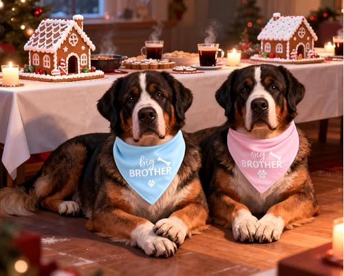 2 Pack Big Brother Dog Bandana Baby Announcement Dogs Bandanas Dogs Bandana Gender Reveal Big Brother Bandana for Dog Pet Scarf Accessories for Pet Dog Lovers Gifts (Pink Blue) by M&F EVENMINE - Image 2