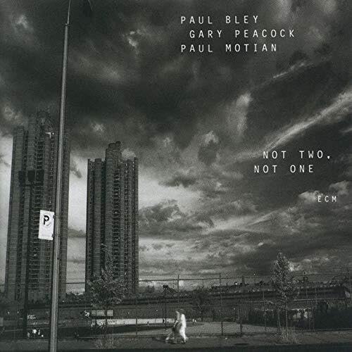 GARY PEACOCK PAUL BLEY PAUL MOTIAN - Not Two Not One - Disque CD