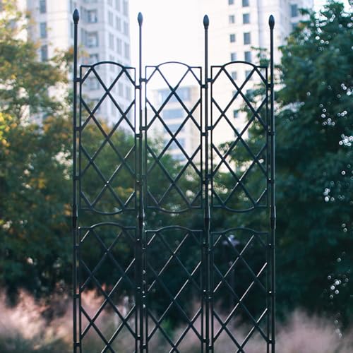 Support robuste pour vignes et architecture de jardin haut de gamme - 6