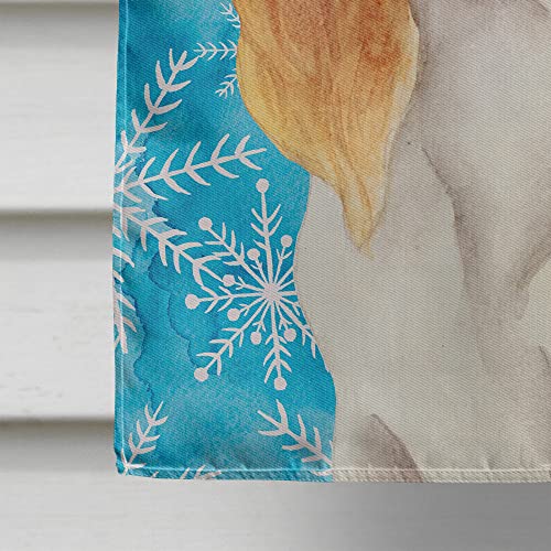 Drapeau Cavalier Spaniel grand format pour remplacer les décorations extérieures fragiles - 5