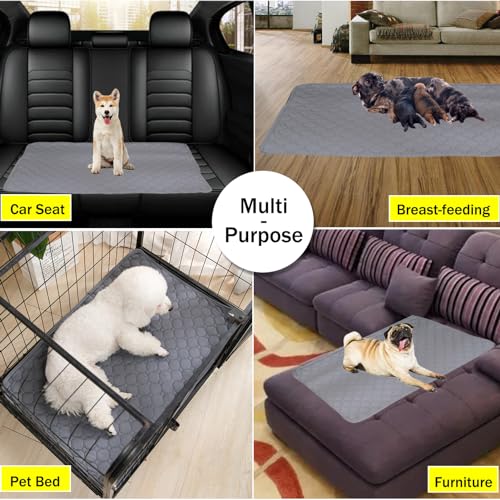 Image of BAMY 2 Pcs Washable Dog Pee Pads Absorbs Urine Pet Training Pads Non-Slip Waterproof Doggie Whelping Pad Reusable Dogs Mat Solid Brown Gray Blue Pink (Gray, M (28x20 inch))