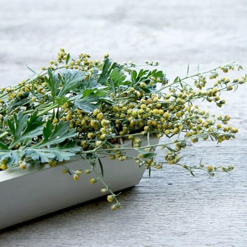 Wermutkraut geschnitten Bio 100g | Bitterkraut | Wermutkraut-Tee | Wermut geschnitten als aromatisches Würzmittel oder Tee | vom Achterhof