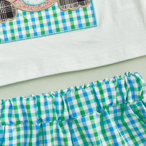 Image of Toddler Baby Boy Easter Rabbit Outfit Short Sleeve Bunny Carrot Smocked T-shirt Elastic Waist Shorts Summer Clothes