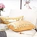 YOUR SMILE Pack of 2, New Luxury Series Gold Decorative Glitzy Sequin & Comfy Satin Solid Throw Pillow Cover Cushion Case for Wedding/Christmas,12