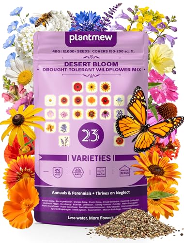 Desert Bloom Drought-Tolerant Wildflower Mix 23 Heirloom Varieties (Annuals and Perennials) 12 000+ Seeds (40g) Covers 150200 sq. ft. High Germination Rate for Outdoor Pollinator Gardens