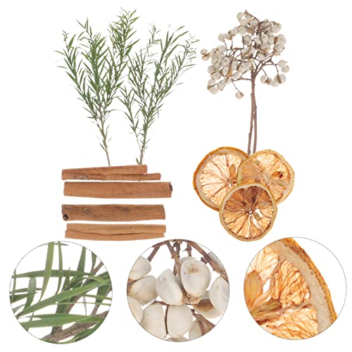 Kit de flores secas para manualidades y decoración miniatura 5